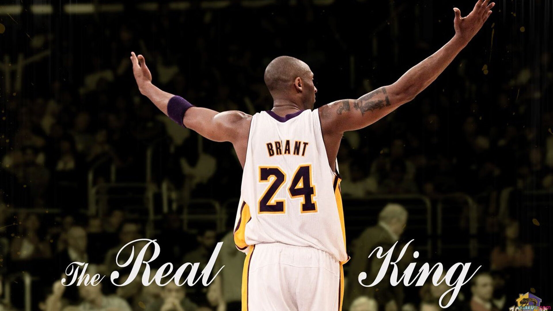 Chinese Taipei展现无畏精神,2024混合团体世界杯成功晋级,世界杯团体赛